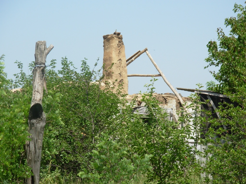 Зникаюча Вітчизна. «Маленький Китай» Кіровоградщини