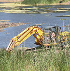У Сумах почали чистити парк