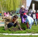 Львівщину озеленили