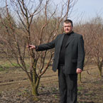 Українцям вкрай не вистачає вітчизняних плодів