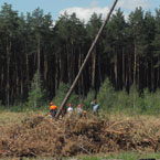 На Полтавщині змагалися лісоруби