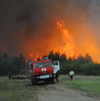 Берегите лес от пожара!