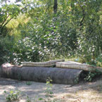 Оболонська влада знищила озеро Вербне