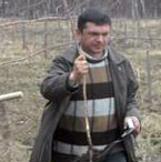 Закладаються нові діброви