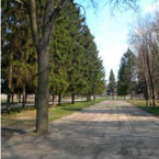 Сумські народники за збереження міського центрального парку