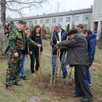 Ліси Звенигори ростуть у майбутнє