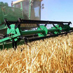 Урожай зерна побил рекорд 2011 года