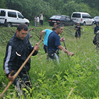 НА ІРШАВЩИНІ ВІДБУВСЯ ТРАДИЦІЙНИЙ ФЕСТИВАЛЬ КОСАРІВ