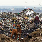 Бомба із сміття