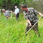 Косарі, не проспіть зорі!...
