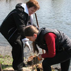Народники Волині взяли участь у толоці