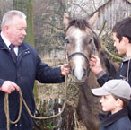 Нехай здійсняться всі дитячі мрії
