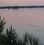 За українську землю