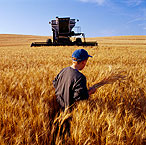 Звітують депутати-народники Херсонщини